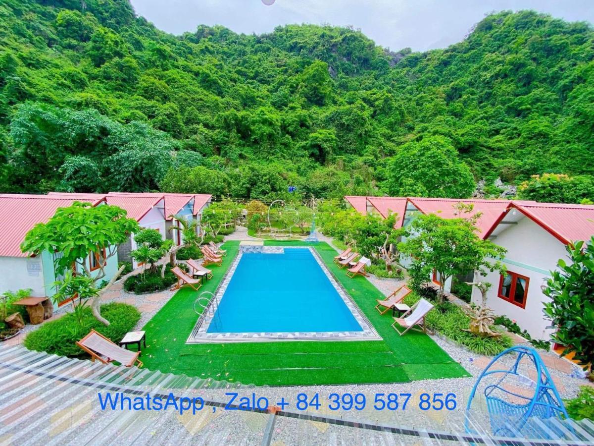 Central Hills Cat Ba Xuan Dam ภายนอก รูปภาพ