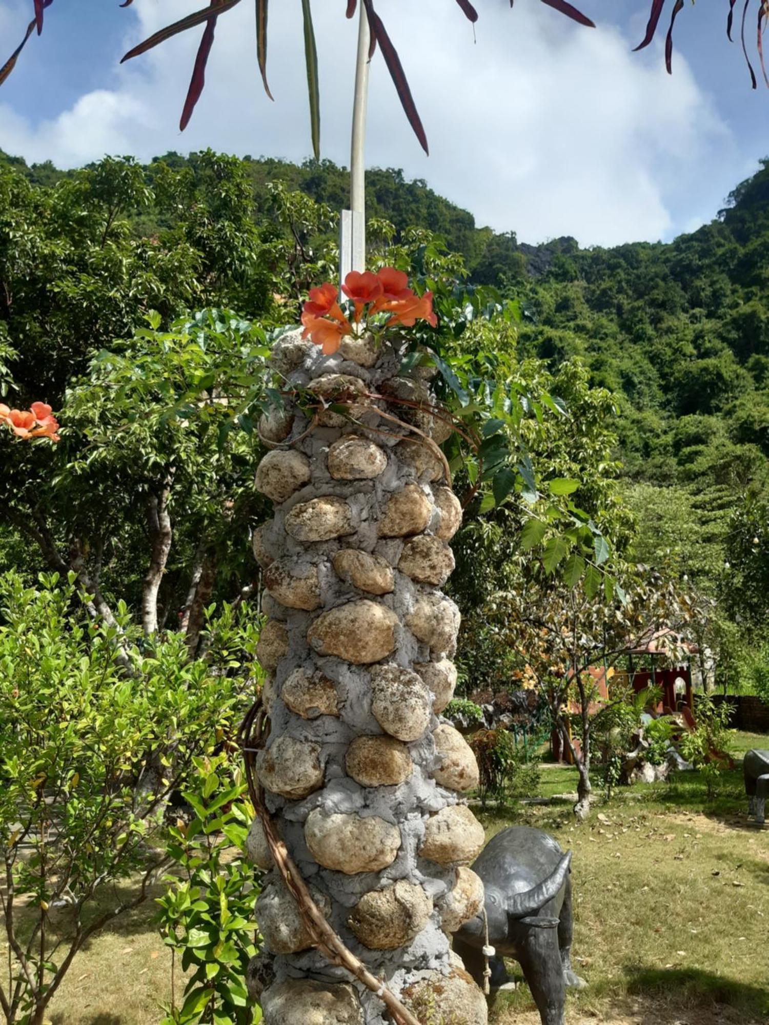 Central Hills Cat Ba Xuan Dam ภายนอก รูปภาพ