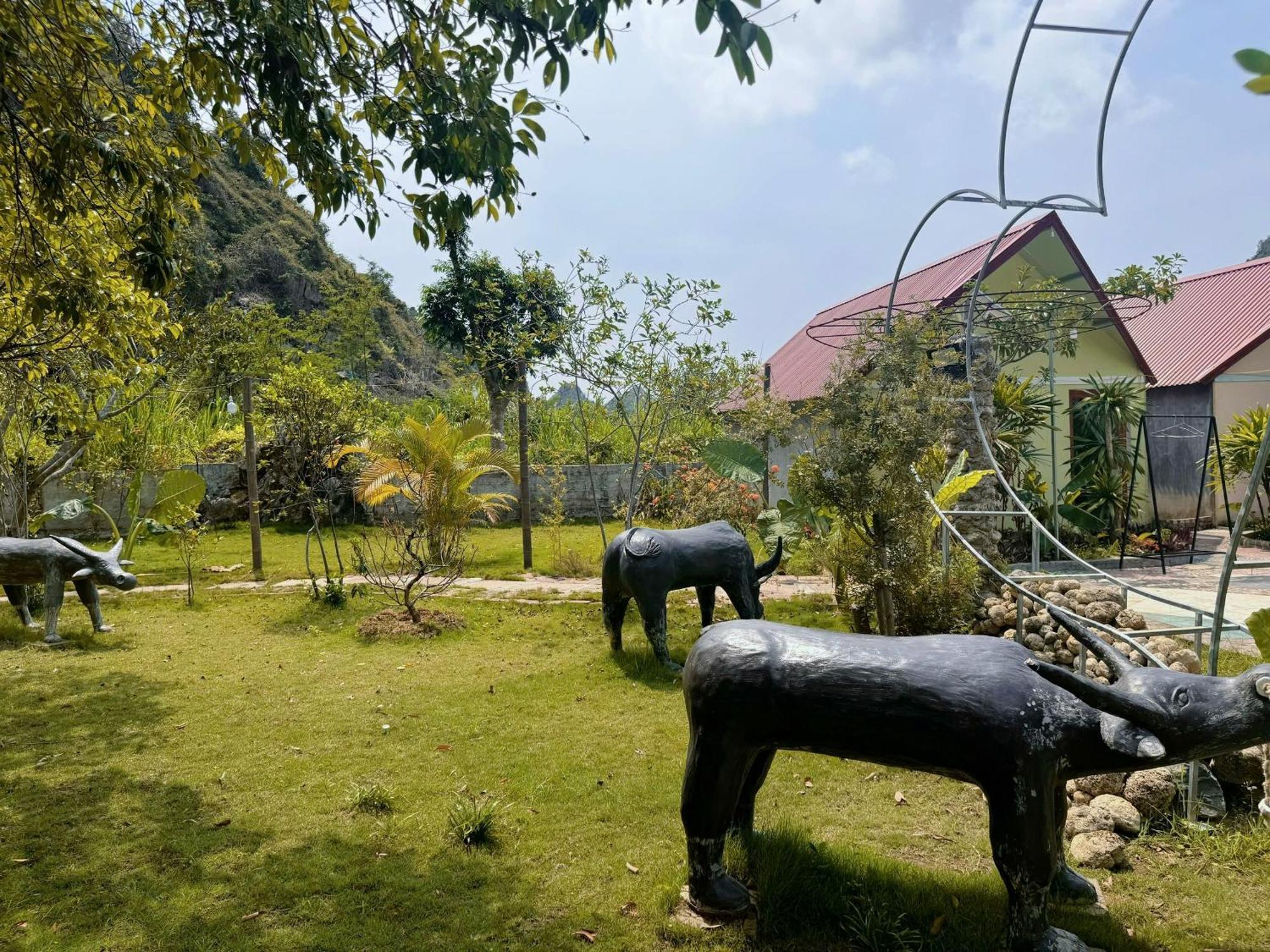 Central Hills Cat Ba Xuan Dam ภายนอก รูปภาพ